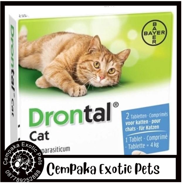 DRONTAL CAT 1 TABLET DRONTAL KUCING DRONTAL OBAT CACING KUCING OBAT CACING HEWAN DRONTAL KUCING MURA