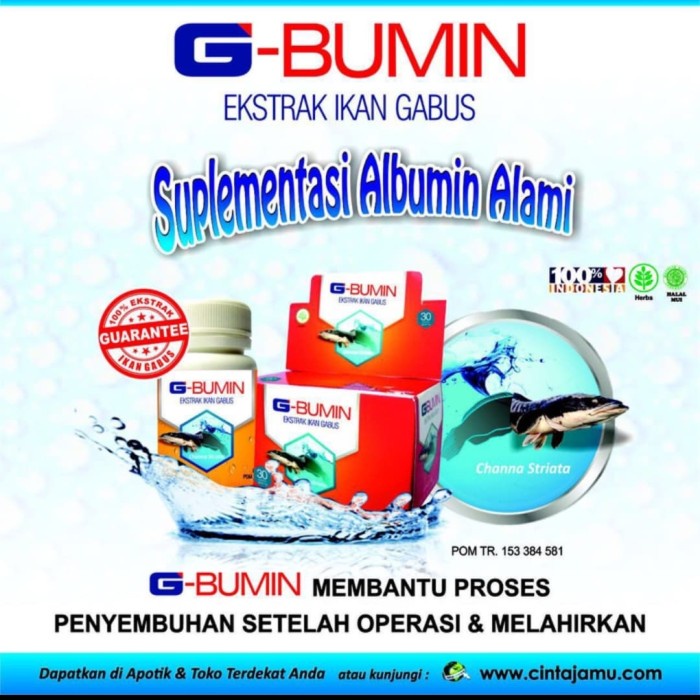 G-BUMIN isi 30 kapsul/Ekstrak Ikan Gabus