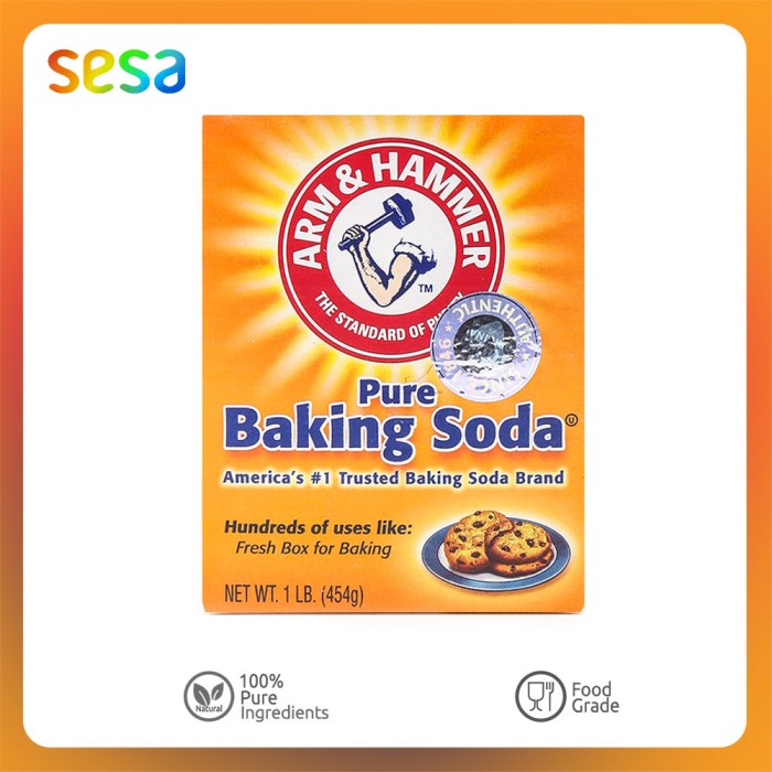 

Termurah [ Best Seller ] Baking Soda Arm & Hammer 454 g