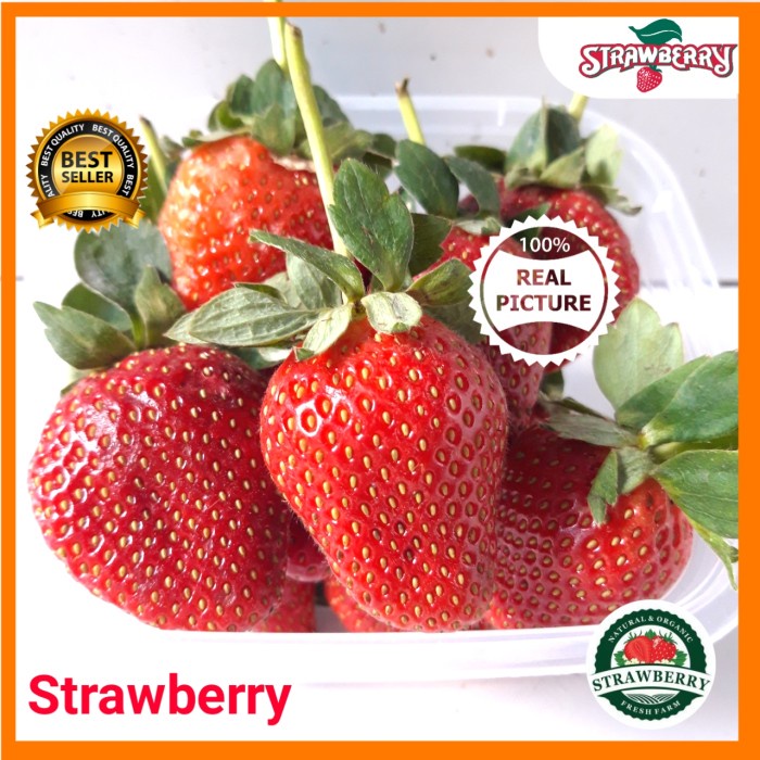 

BUAH STRAWBERRY STROBERI FRESH BUAH SEGAR BUAH STROBERI SEGAR 1kg