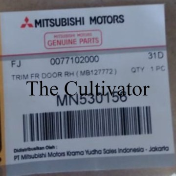 Best Door Trim Deck Pintu Mitsubishi L300 Diesel Kanan MN530156 XZE409