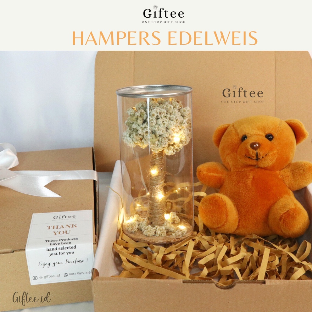 HAMPERS GIFT SET EDELWEIS IN TUBE LED DRIED EDELWEISS FLOWER IN JAR BUNGA KERING DALAM TABUNG MIKA B