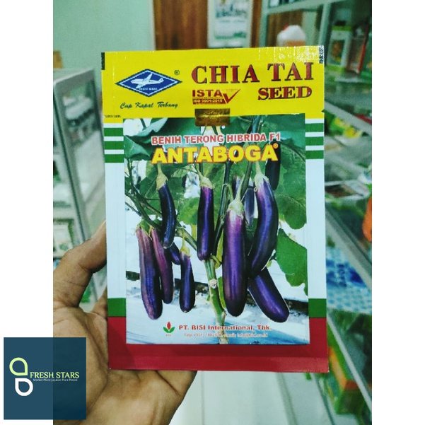 

Terong ANTABOGA F110gr Hibrida Terong Ungu