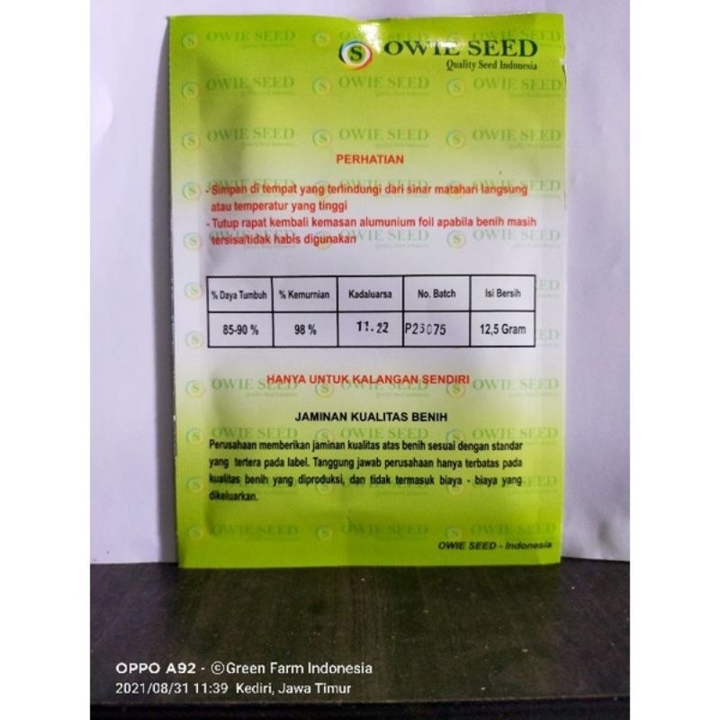 

BENIH BIBIT CABE VELOZ 12,5gr