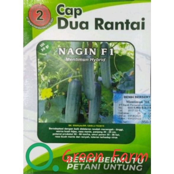 

Timun Nagin F1 Timun Hibrida Kulit Hijau Buah Lebat Kemasan 20gr Original Pabrik Cap Dua Rantai