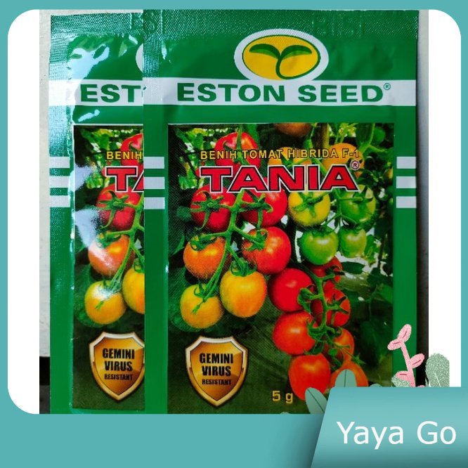 

Tomat Tania F1 Tomat Tahan Virus Kemasan 5gr Original Pabrik Eston Seed Andalan