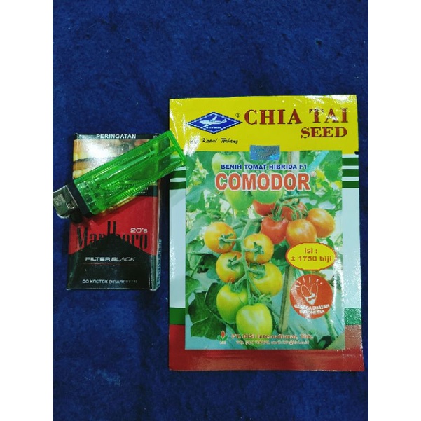 

Tomat Comodor F1 Hibrida Tahan Virus Buah Lebat Kemasan 5gr Original Pabrik