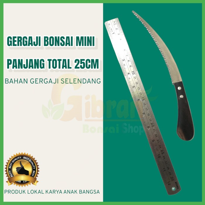 NEW Gergaji bonsai bahan baja gergaji selendang alat bonsai - lengkung 25cm