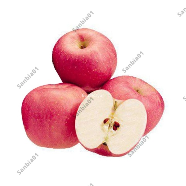 

Buah Segar Apel Fuji 500 Gram