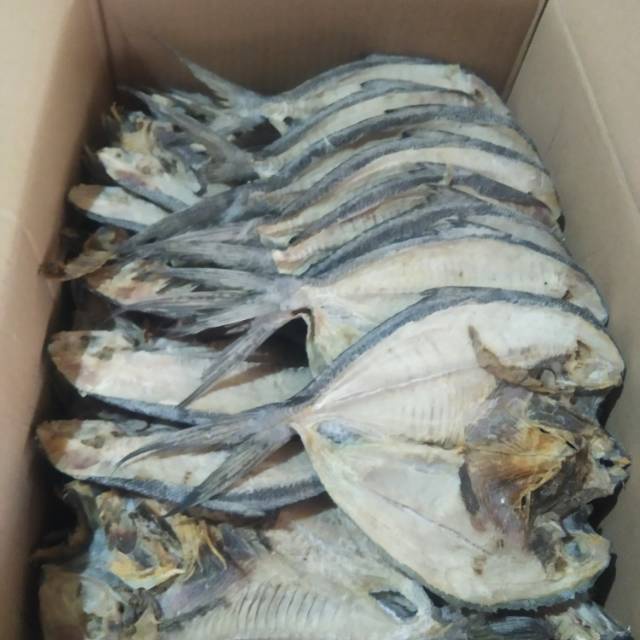 

Ikan Asin Bawal Kering Murah 1 Kg