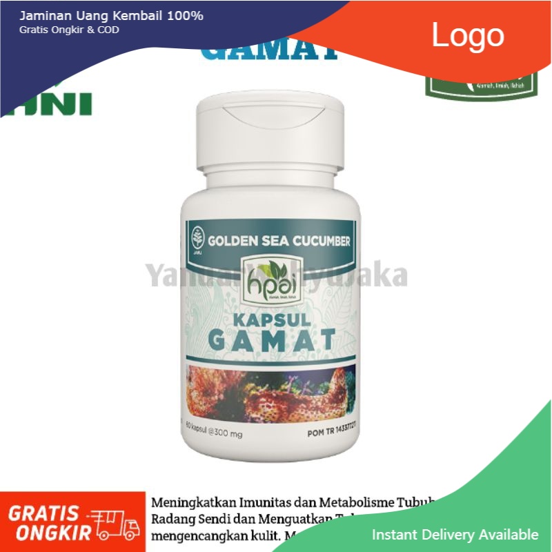 (Bisa COD) Kapsul GAMAT Tradisional Obat Tradisional Untuk Nyeri Sendi (HPAI) .