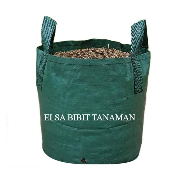 PLANTER BAG [HIJAU] POT TANAMAN BUAH