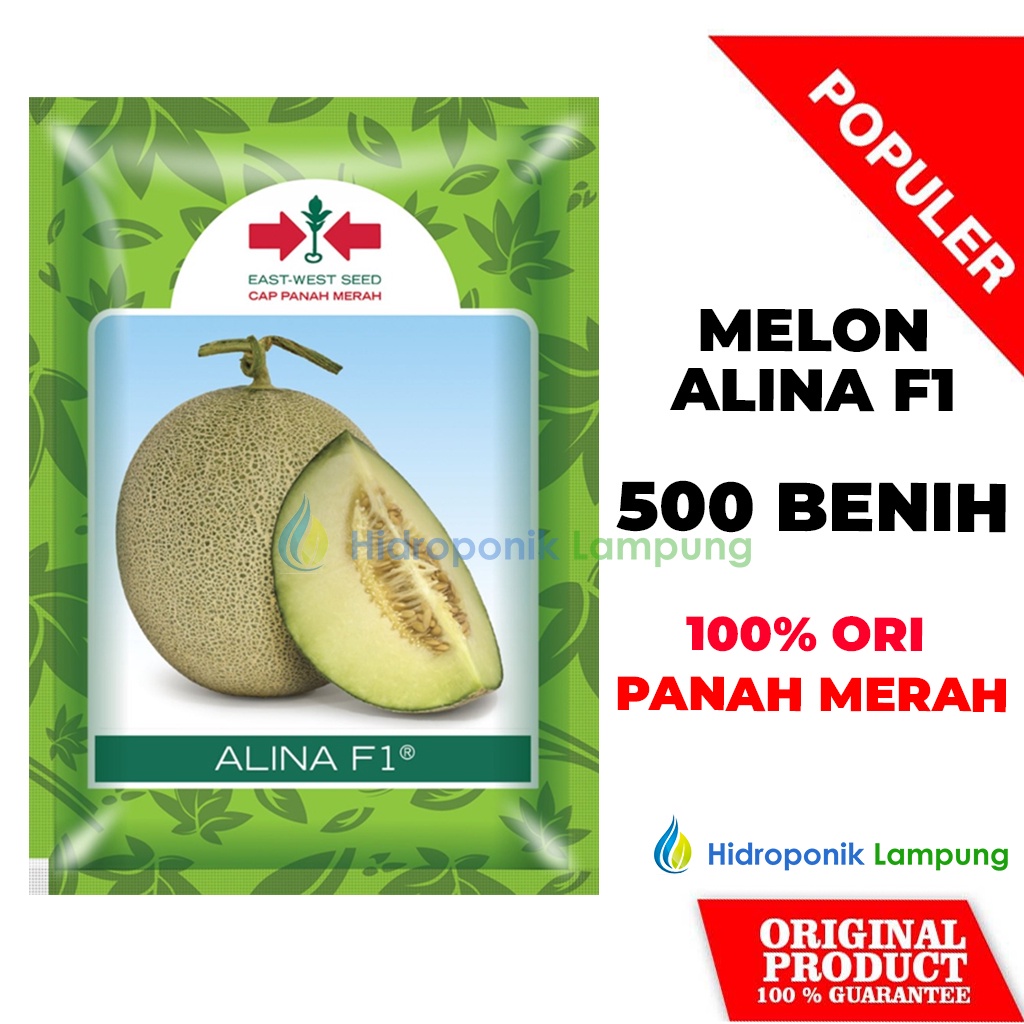 REGULAR BENIH BIBIT MELON ALINA F1 CAP PANAH MERAH ISI 500 BENIH