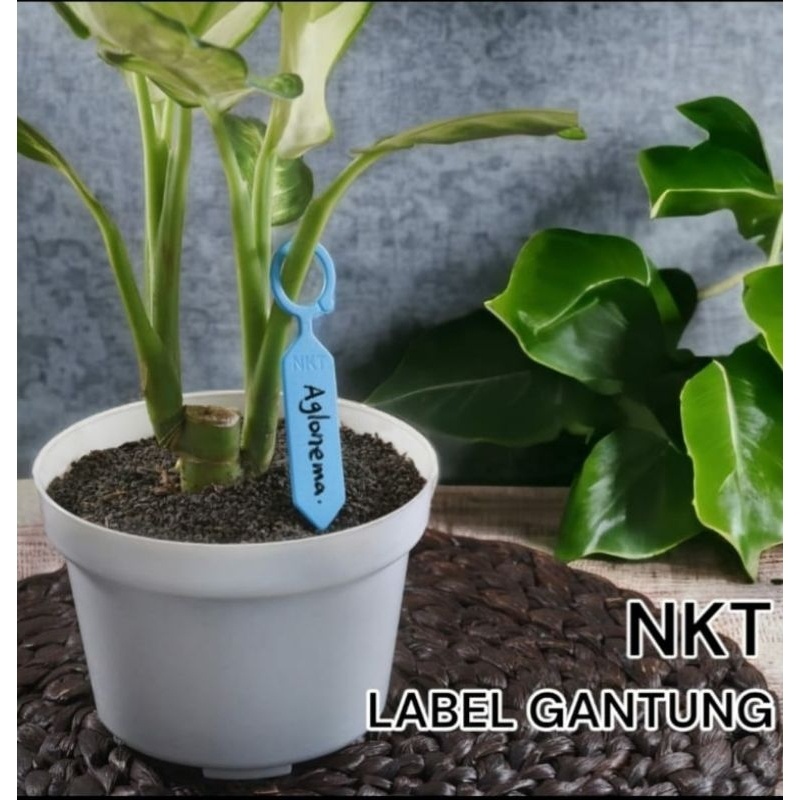 NKT LABEL TANAMAN : label name tag gantung untuk menulis nama tanaman bunga harga satuan