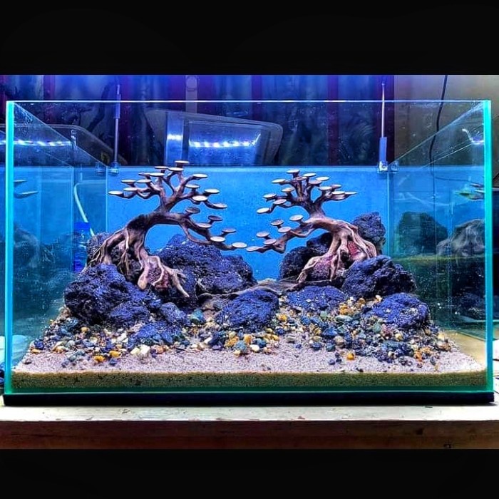 Fullset Hardscape Bonsai Aquascape Jungle 60x25x30