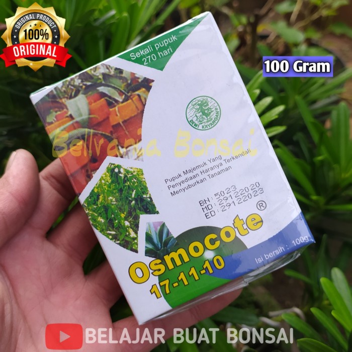 agodacollection87_mall [Murah] Pupuk Dekastar Osmocote 17-10-11 Penyubur Daun 100 Gram