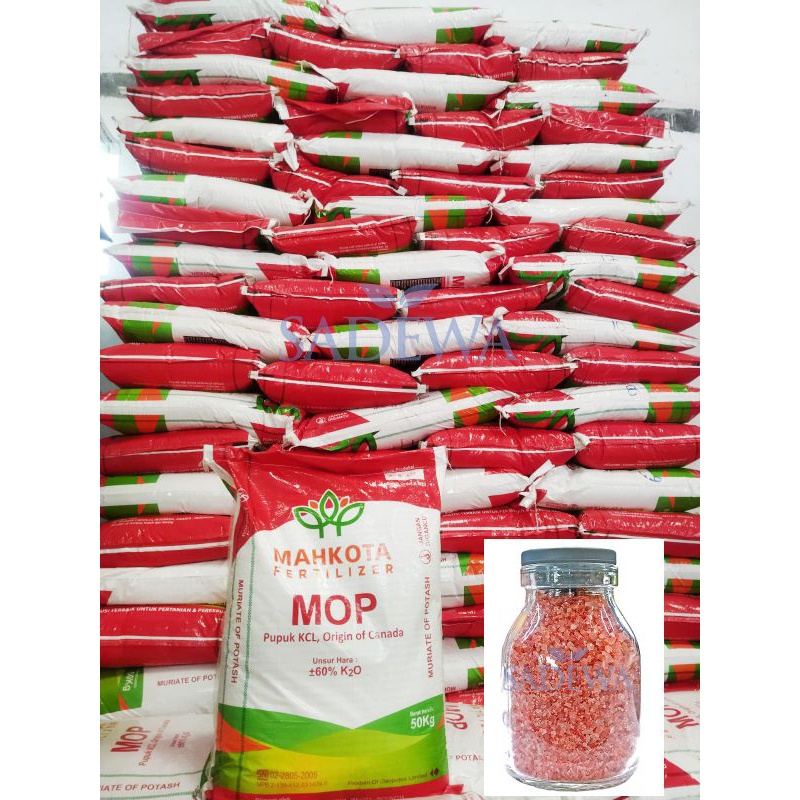 PUPUK KCL MAHKOTA REPACT  ORIGINAL canada