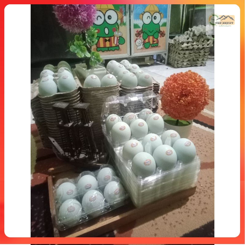 

TELOR ASIN PAKET ISI 6 LEZAT DAN FRESH DIBUAT DENGAN CARA TRADISIONAL