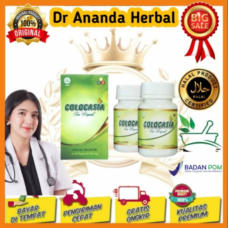 NEW COLOCASIA ASLI ORIGINAL OBAT SENDI NYERI OTOT TULANG LINU AMPUH COLOCASIA OBAT REMATIK MANJUR