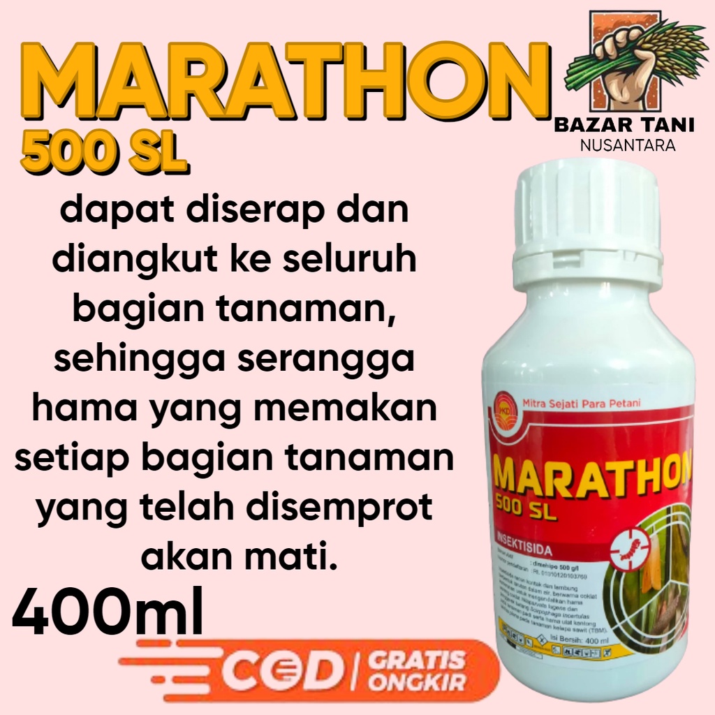 Dimehipo insektisida 500 SL MARATHON  OBAT WERENG DAN SUNDEP maraton dimehipo insektisida sistemik p