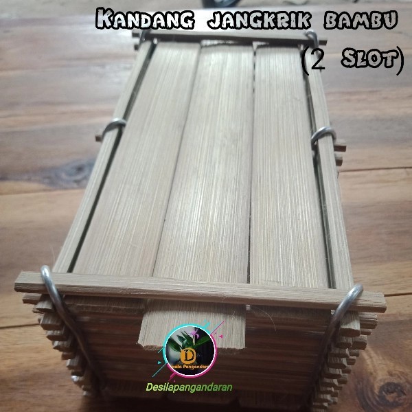 kandang jangkrik aduan bambu 2 slot - kandang jangkrik adu genggong