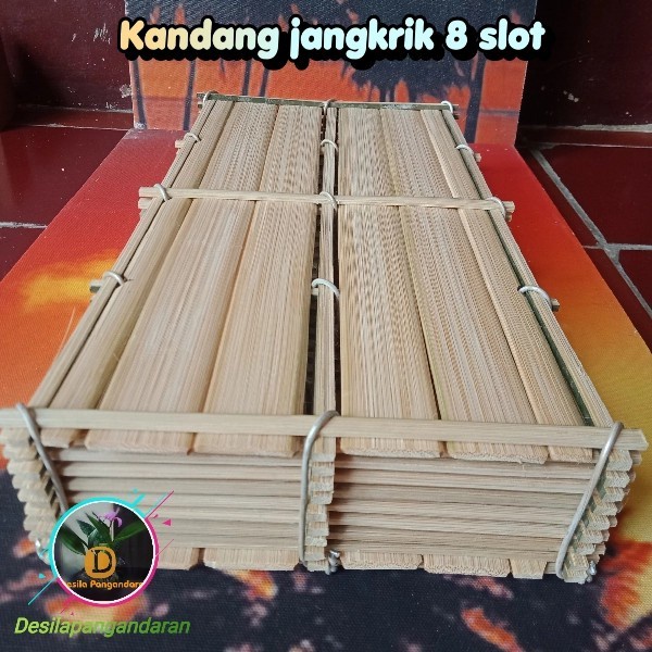 kandang jangkrik bambu 8 slot - kandang jangkrik jumbo