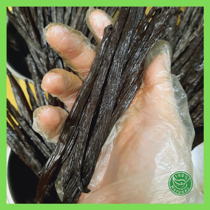 

Termurah [ Best Seller ] Vanilla Bean / Vanila Batang /Vanili Kering Grade A Gourmet Planifolia - TAHITI Gr A
