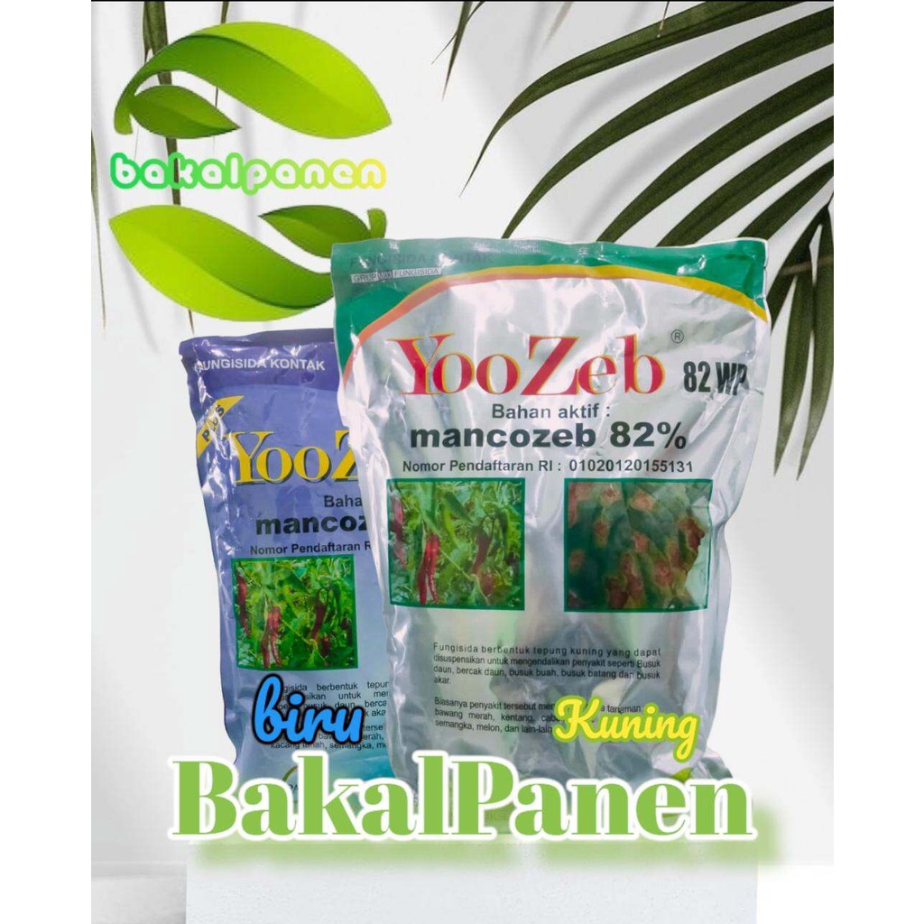 Fungisida obat jamur mankozeb YOOZEB BIRU & KUNING 82WP