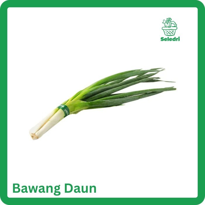

Bawang Daun bawang Bakung dengan akar