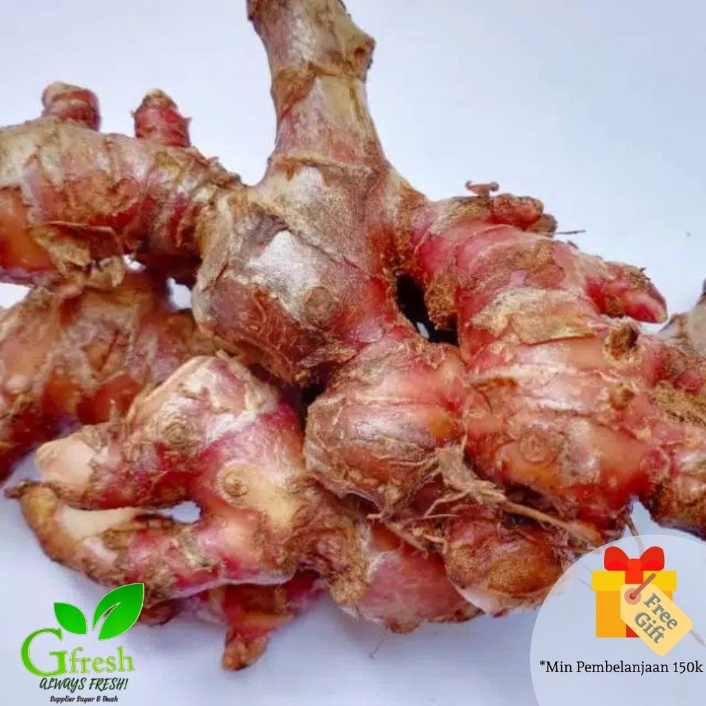 

Jahe merah segar 1 kg