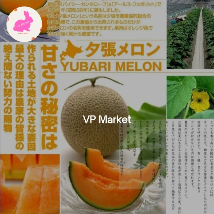 

Melon Yubari King Red Melon Japan | Melon Original Jepang 1.3kg | pcs