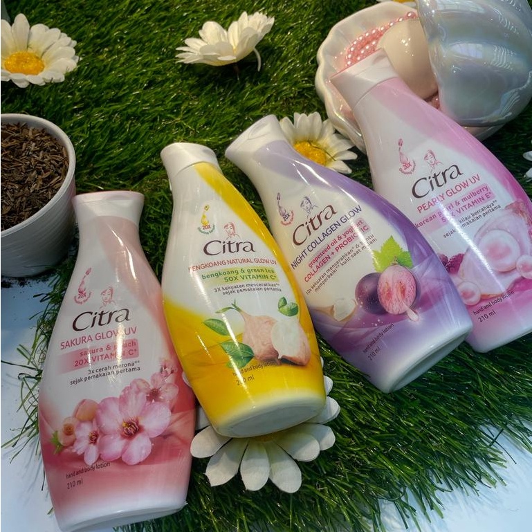 New Product Citra Hand & Body Lotion Natural Glow UV Pelembab Badan Citra Lotion Glow Series Sakura 
