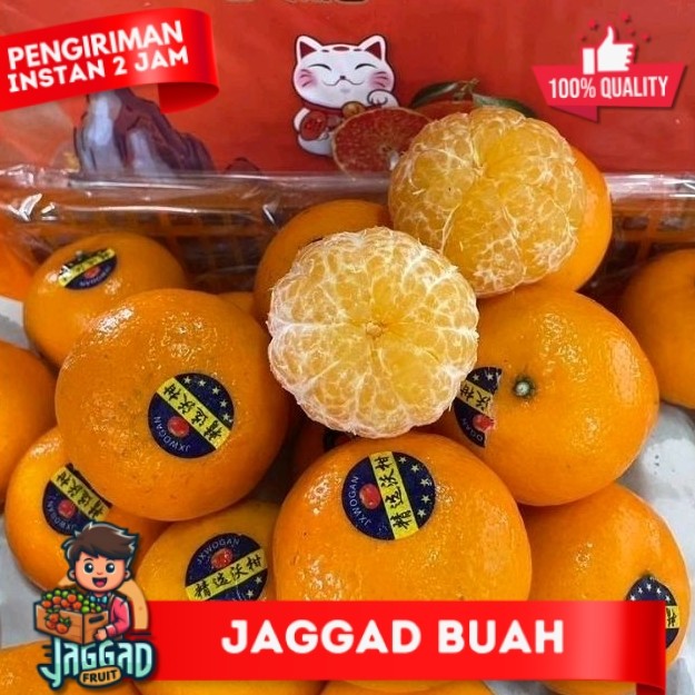 

Jeruk Wokam Wogam 1 kg Super Manis JAGGAD FRUIT