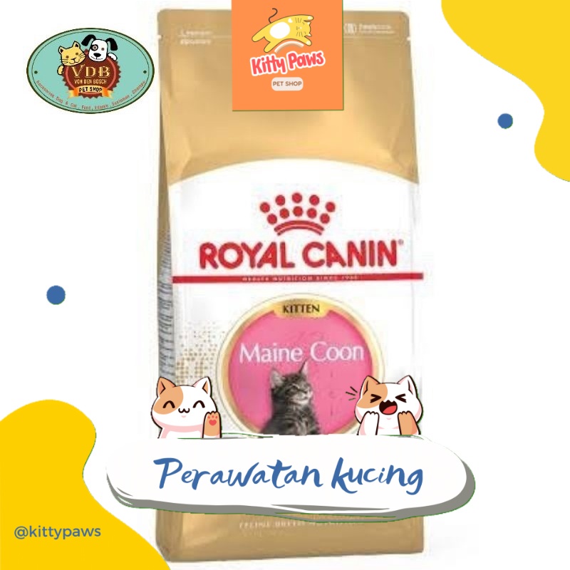 Perawatan kucing Royal Canin Kitten Maincoon 400 gram