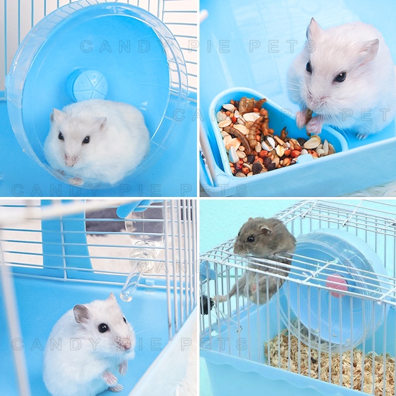 New 1 Set Rumah Hamster Kandang Hamster Akrilik Besar Kandang Sugar Glider Marmut