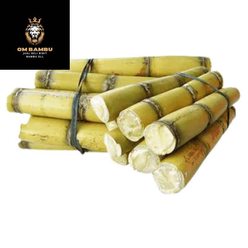 

Readyy Tebu kuning segar 1kg rasa manis PROMO 11.11 promo 11.11