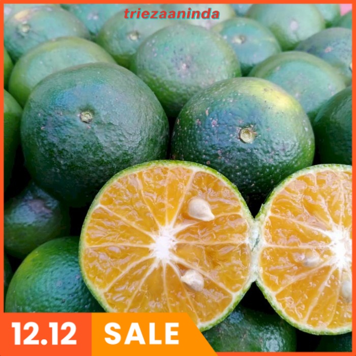 Pupuk Booster Jeruk Supaya Berbuah Lebat, Pupuk Jeruk Cepat Berbuah