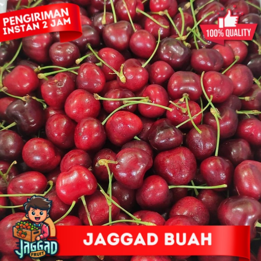 

Buah Cherry Red Cherry Merah Fresh Import / 1 Pack 250 grm JAGGAD FRUIT