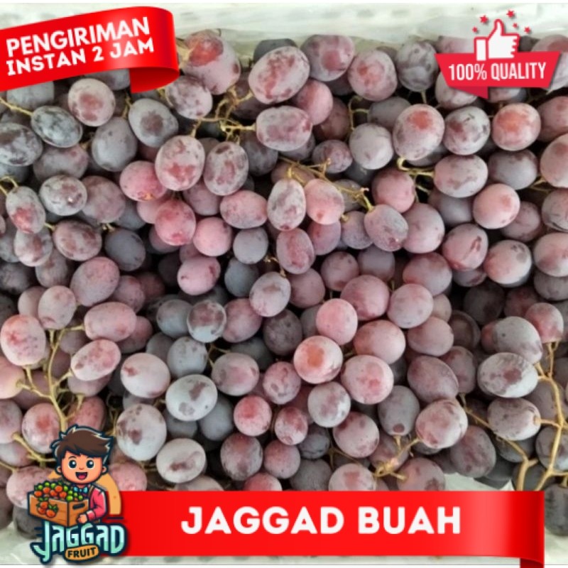 anggur red globe superan 1 dus isi 6kg / anggur merah 1 keranjang JAGGAD FRUIT
