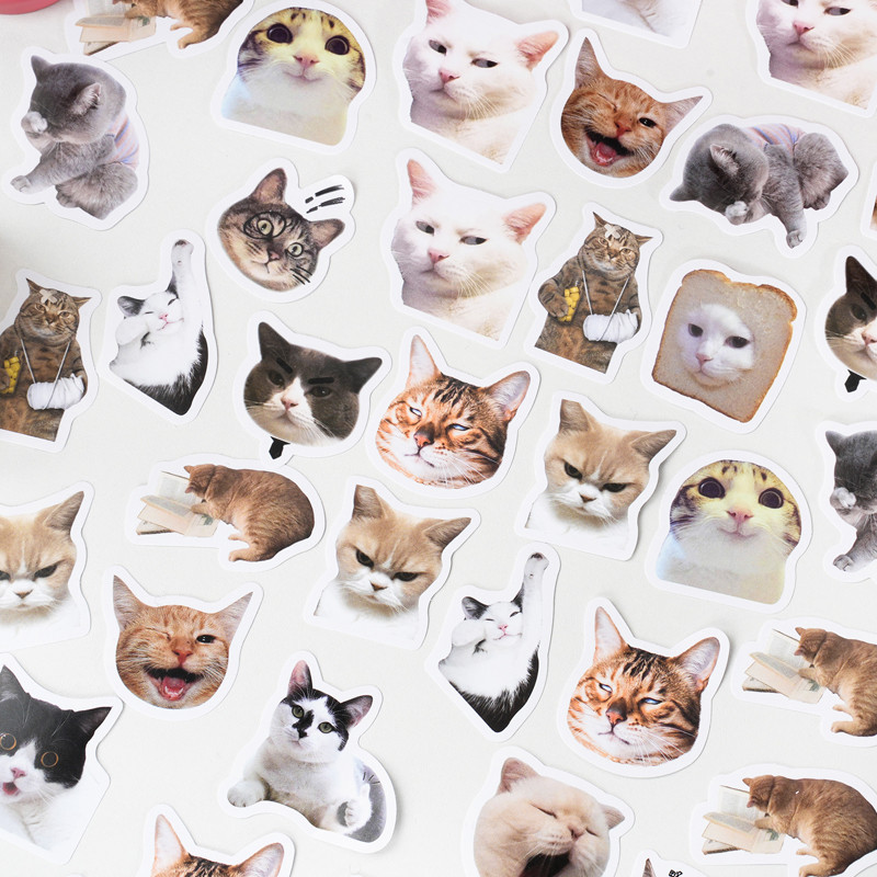 

46pcs/Bag,Cat Stickers,Be for Suitcase Skateboard Luggage Laptop Phone Diy Sticke Decoration Stationery School Supplies Toys