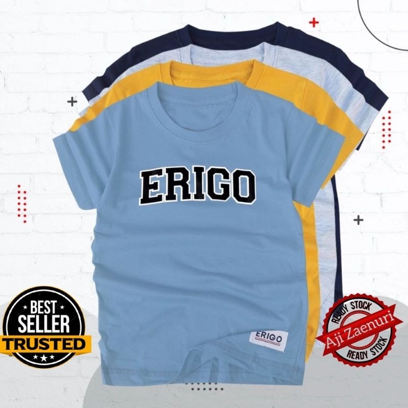 BAJU KAOS ANAK LAKI LAKI PEREMPUAN UMUR 1-12 TAHUN ERIGO / KAOS ANAK LAKI LAKI PEREMPUAN DISTRO/ KAO