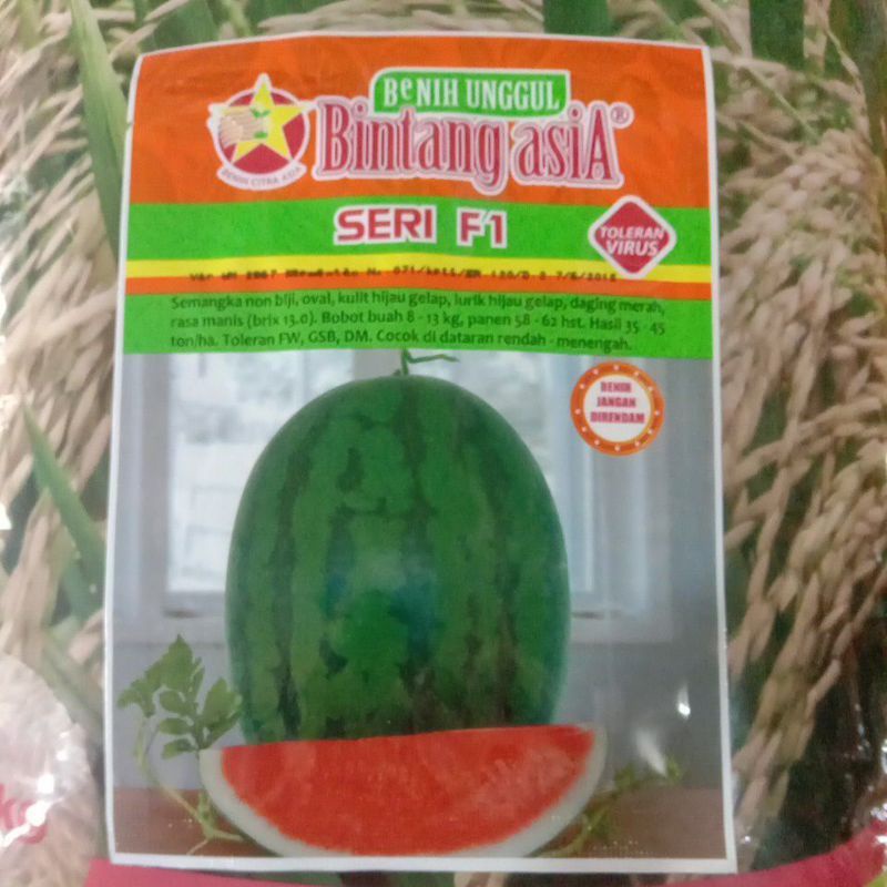 BENIH SEMANGKA NON BIJI SERI F1 BINTANG ASIA 20G