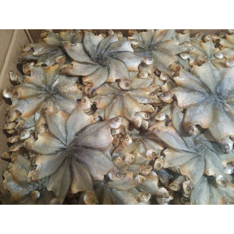 

PROMO/ Ikan Asin Sepat Kembang Besar 1 Kg Fresh.