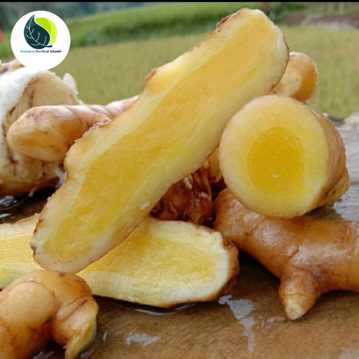 Temu mangga segar 1kg asli temu mangga