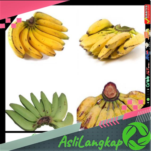 

Pisang Ambon, Pisang Uli, Pisang Kepok, Pisang Nangka per Sisir