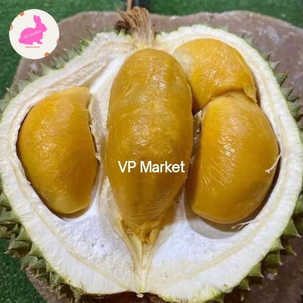 

Durian Black Thorn Nitro (Utuh Beku) Malaysia | Durian Blackthorn