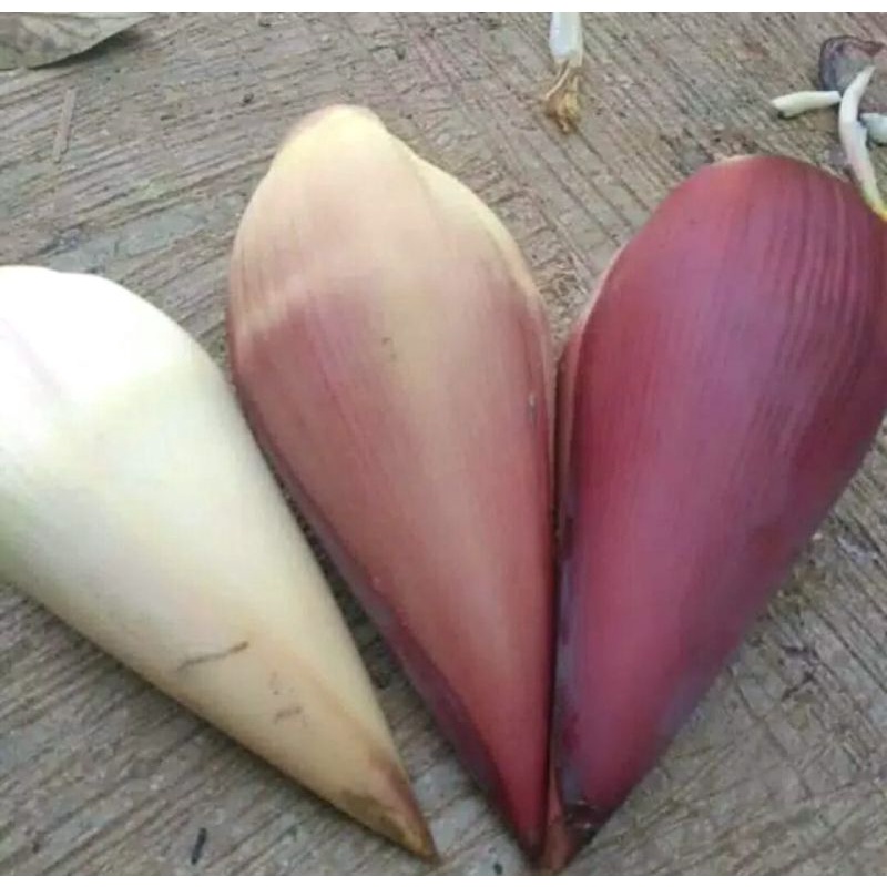 

TERBAIK JANTUNG PISANG SAYUR cod r.