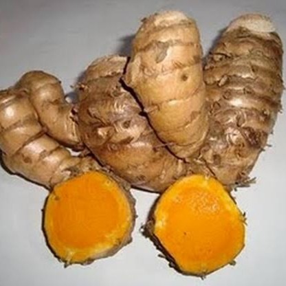 

TEMULAWAK 1 KG FRESH