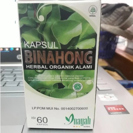 BINAHONG ORIGINAL KAPSUL DAUN BINAHONG HERBAL ORIGINAL