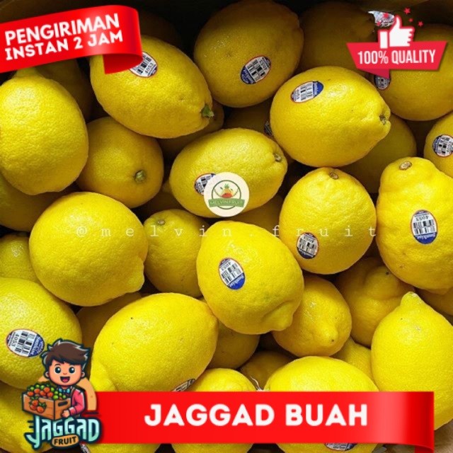 

Lemon China fresh JAGGAD FRUIT